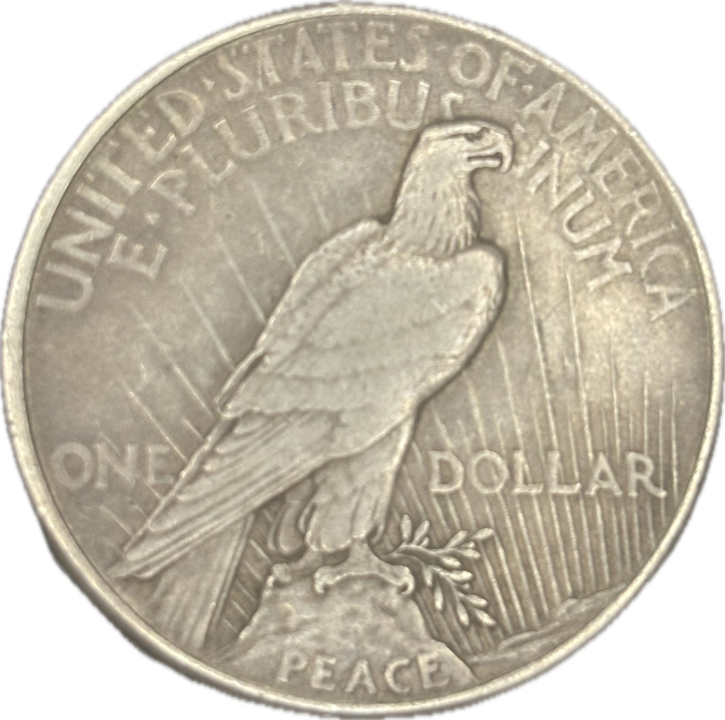 1921 Peace Dollar ANACS EF 40 Details Small Scratch