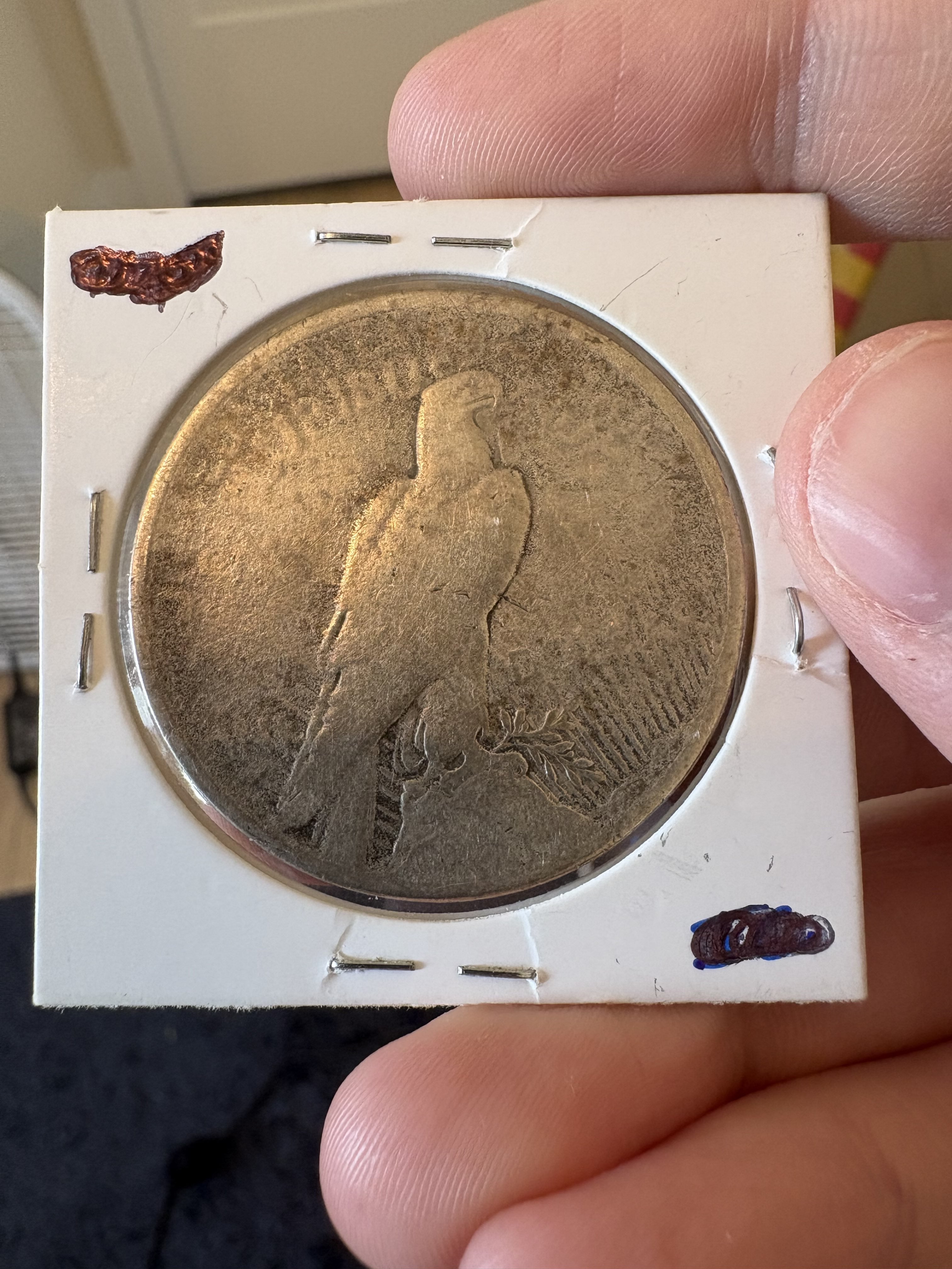 1921 Peace Dollar RAW